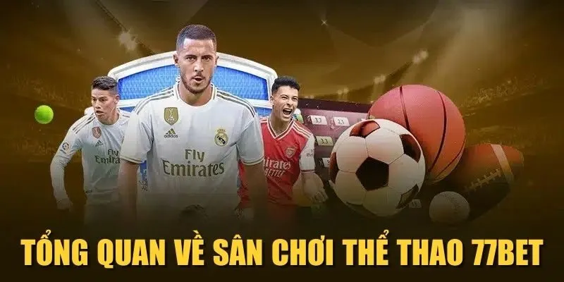 Tổng quan về sân chơi Thể thao 77Bet